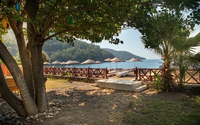 Eden Bungalows and Beach