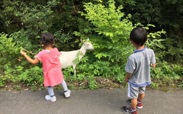 Guesthouse Mori No Eki