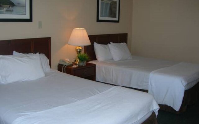 Rodeway Inn by the Falls
