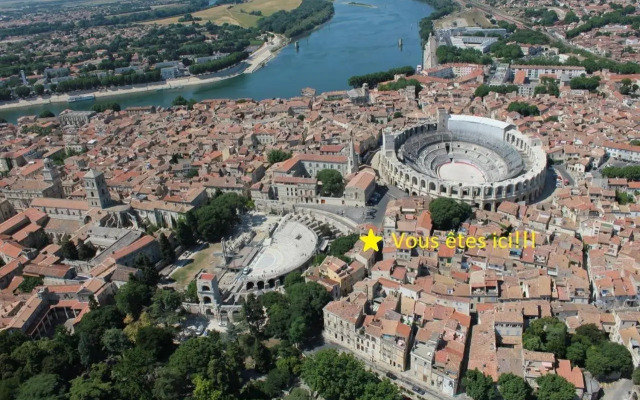 Le nid des Arènes