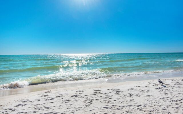 Shores of Panama 610