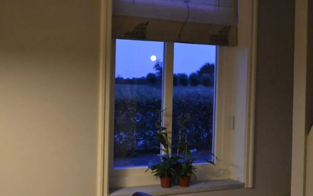 Zeekraal Comfortable Holiday Residence