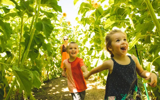 Summit SKI Haus #2460