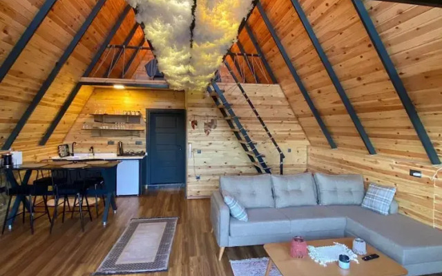 Tolso Wooden Hause