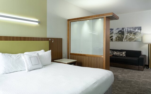 SpringHill Suites Philadelphia Airport Ridley Park