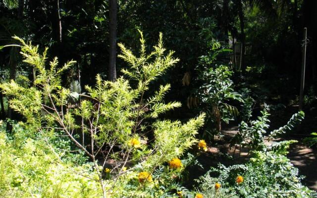 Amrita Homestay