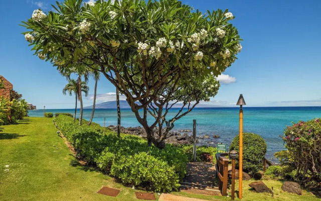 Kuleana Club - 210