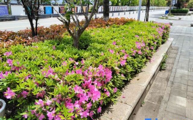 Wencheng Shiyu Homestay