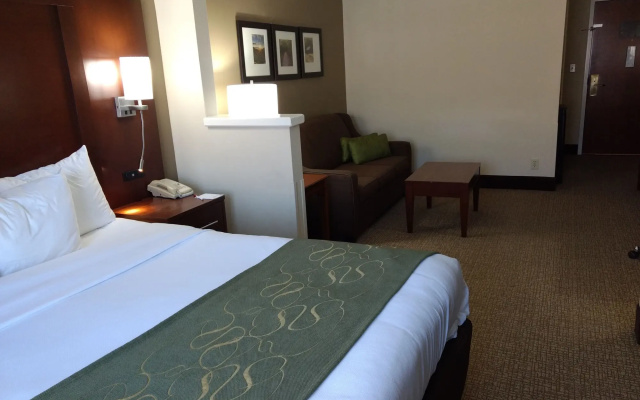 Comfort Suites Johnson City near University