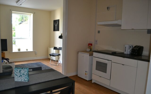Cozy Modern Bedroom Apartment City L1