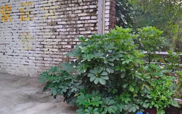 Hengyang Shiqi Private Cinema Homestay (Hengyang Normal University)