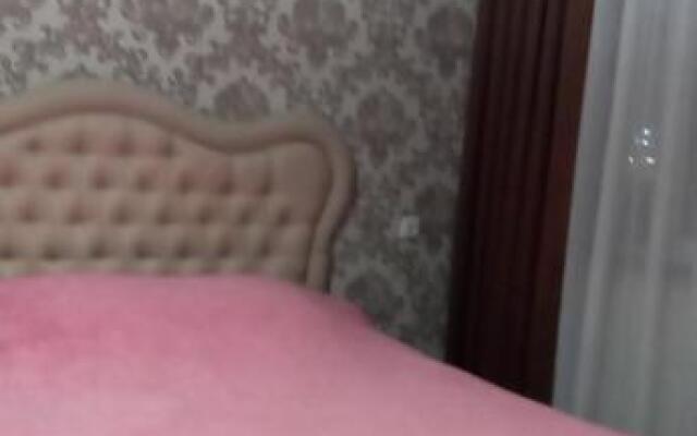 Apartament Pushkin Street 13