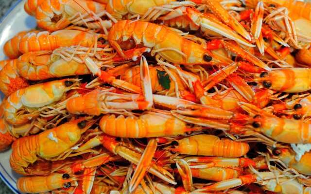 Hotel Restaurante Elisardo