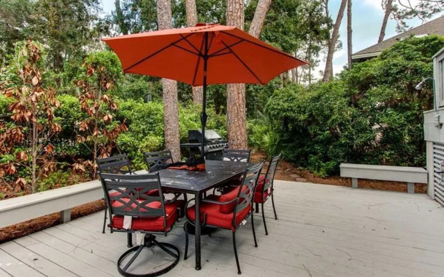 Sandhill Crane 03 by RedAwning