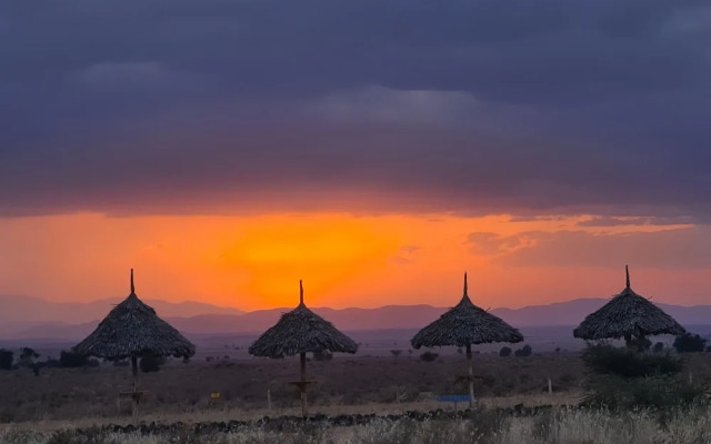 Amanya 1 -bed King Lion Tent