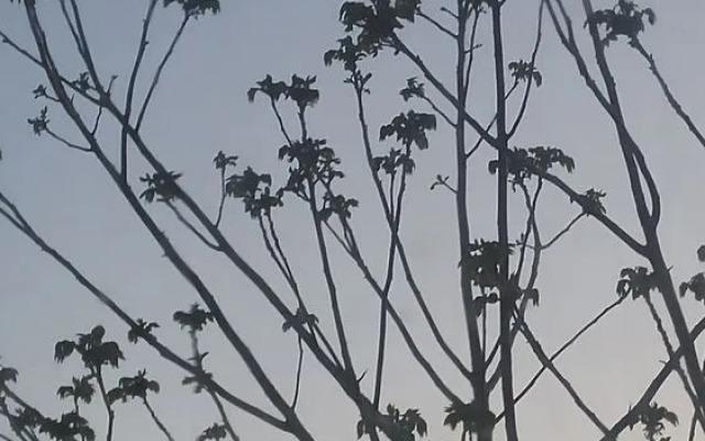 Windsbreath Celebrations and Retreats