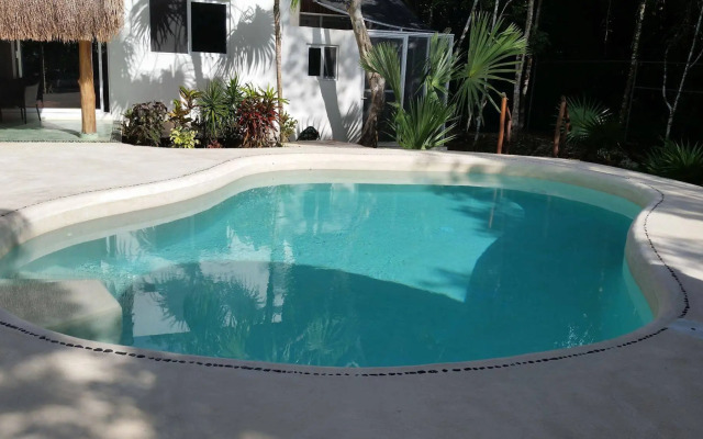 Pura Vida Cancun, Guesthouse.