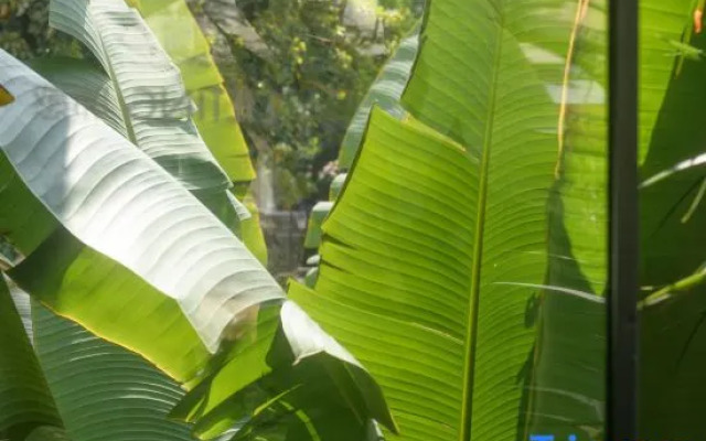 Soul Touch Hotel (The Consulate-General of German in Gulangyu)