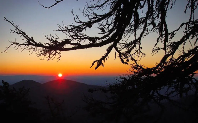 Albert's Lodge at Mt. Mitchell