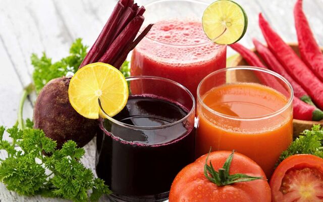 YO1 Longevity & Health Resorts, Catskills