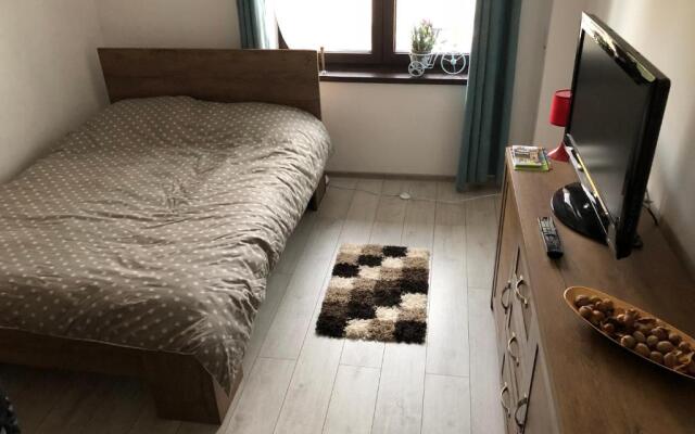 Vintage Apartment Suceava