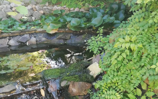 Rezident consult s.r.o.