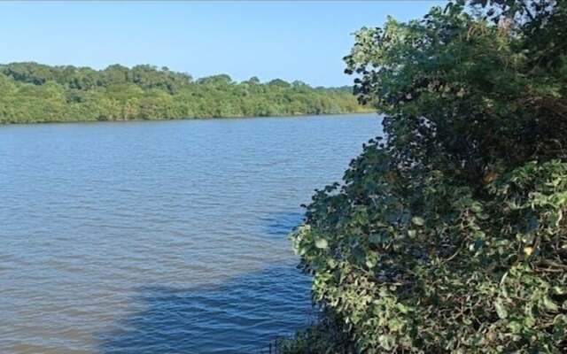 The Tropical Hut Lodges