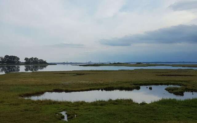 Ferienwohnung auf Insel Poel