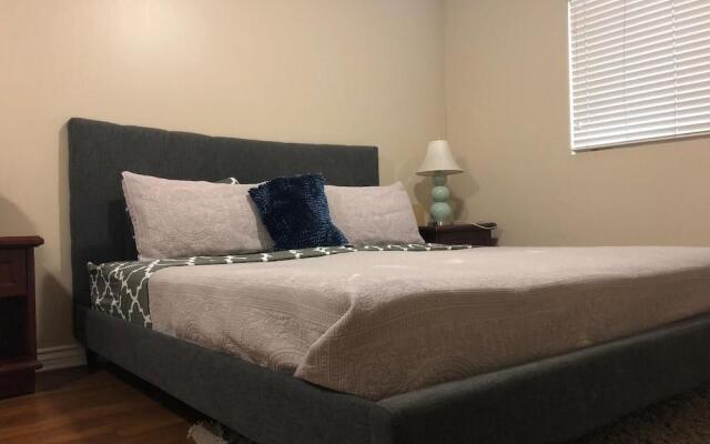 Hollywood Splendid Vacations