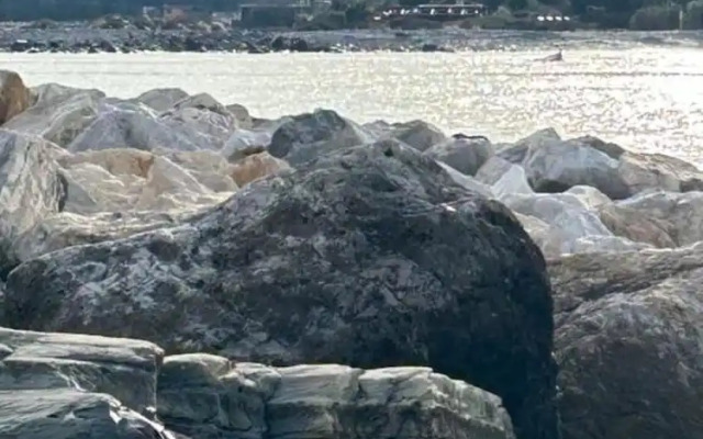 The Rocks a Stone's Throw Away