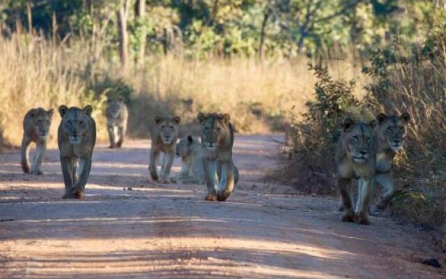 Mawimbi Bush Camp