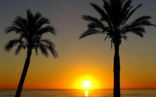 Marina dOr Apartments Solo Alojamiento