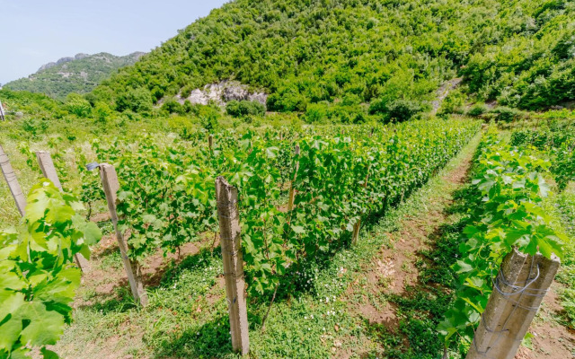 Rustic House Leković