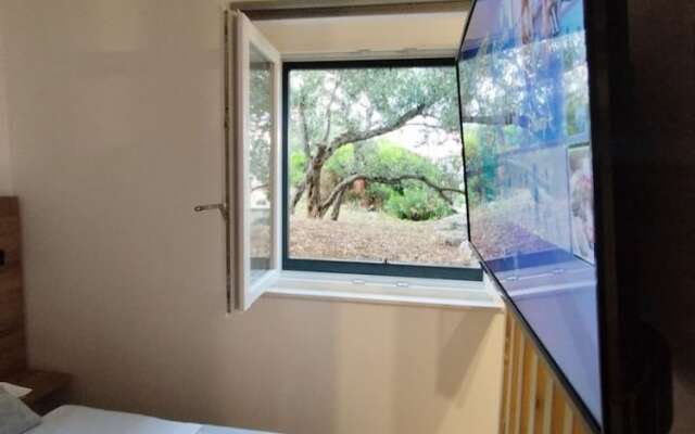 Martina - Large and Comfortable Apartments - SA2