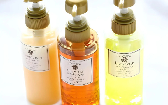 Hotel Wing International Himeji