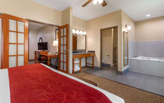 Comfort Suites North Dallas