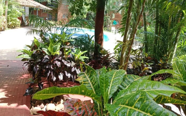 Sea Breeze Beach Resort Candolim