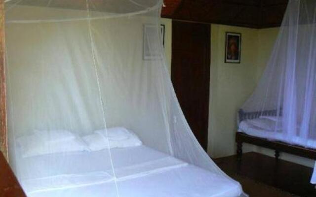 Bio Veda Ayurvedic Hill resort