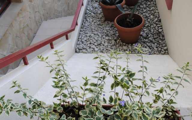 Вилла Бельведер