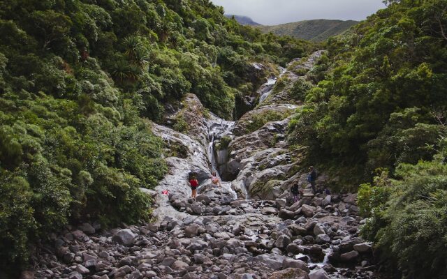 Dawson Falls Mountain Lodge