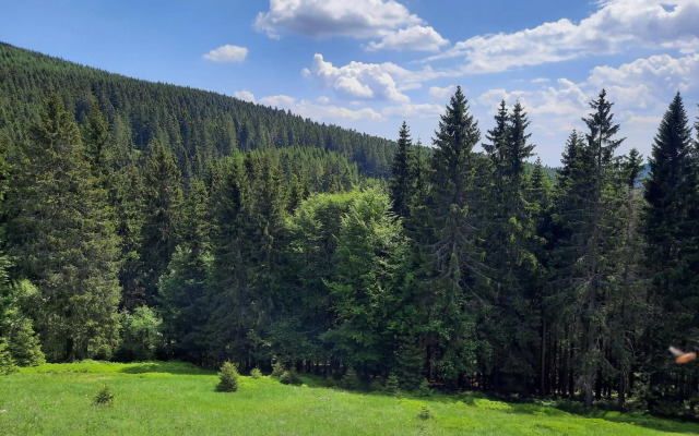 Velký apartmán Cihlarka pro až 17 osob