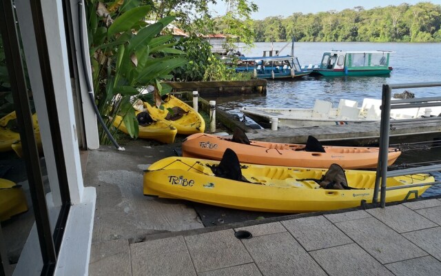 Hotel Cabinas y Tour Aaron Tortuguero