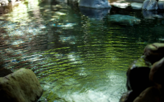 Yufuin Onsen Ryotei Tanokura