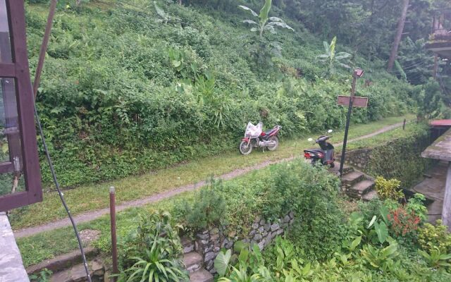 Bamboo Garden