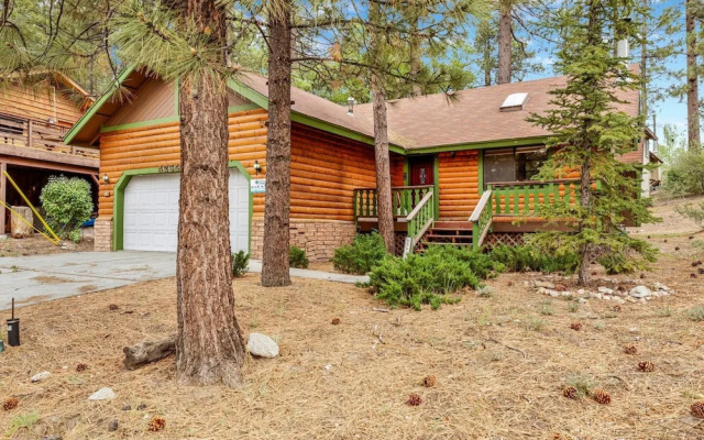 Pines AND Needles #1454