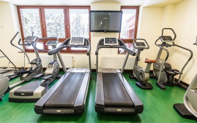 Wellness Hotel Borovica