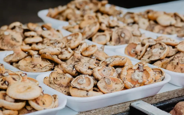 Vila Caelus Masia Boutique