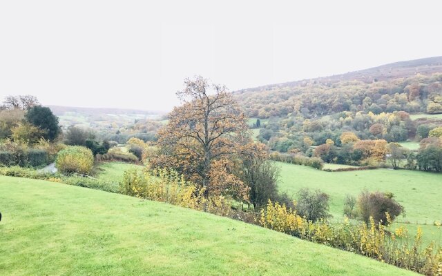 The Celyn