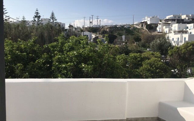 Garden Apartment