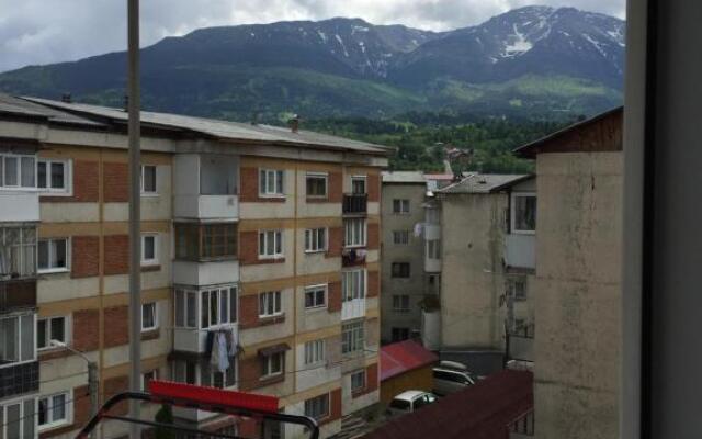 Apartamente Gildo & Nori 16